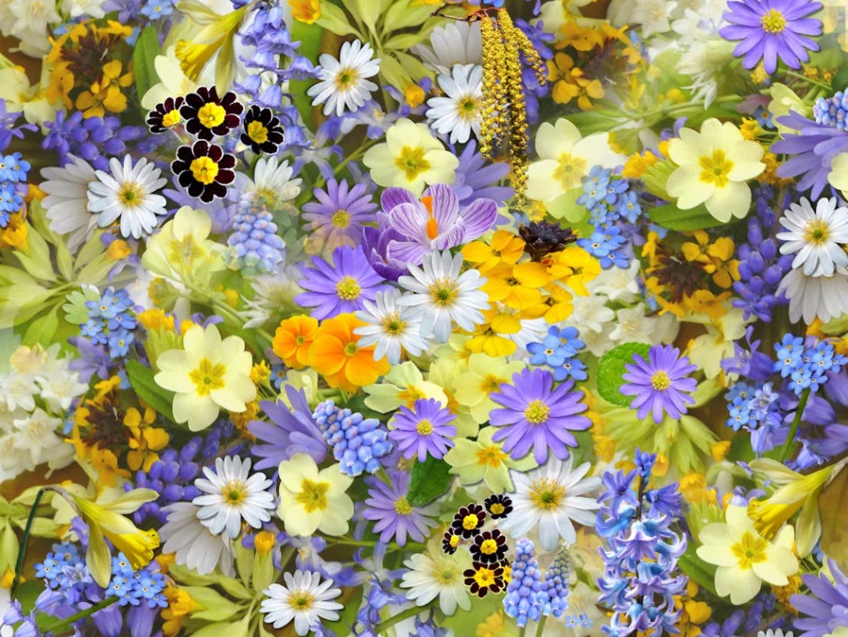 a display of colorful flowers