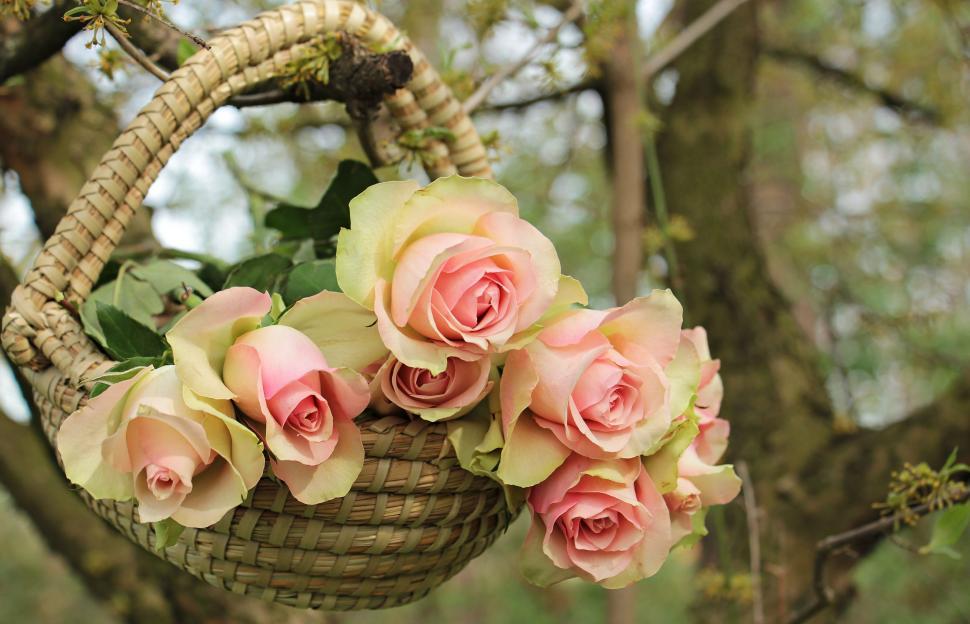 flower basket